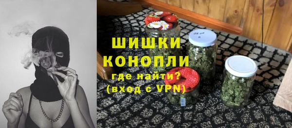 spice Белокуриха