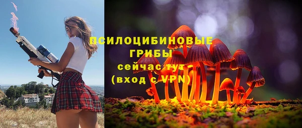 spice Белокуриха